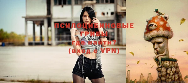 альфа пвп Гусиноозёрск