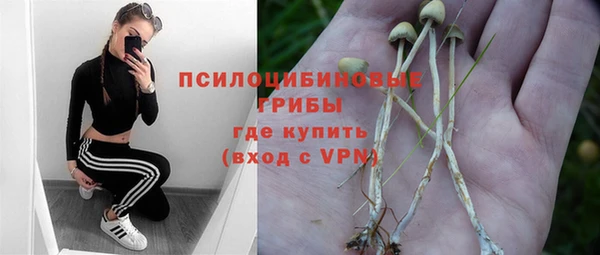 спайс Чекалин