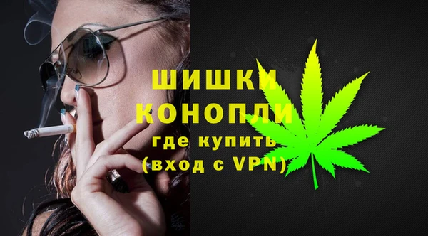 альфа пвп Гусиноозёрск