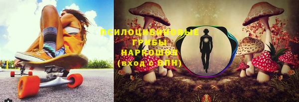 мескалин Гусь-Хрустальный