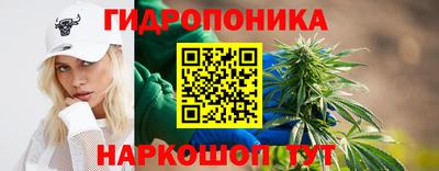 а пвп мука Тара