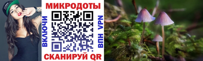 Галлюциногенные грибы Cubensis  OMG как зайти  Шебекино 